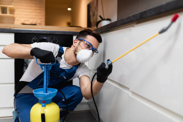 Best Pest Removal Services  in Westhampton Beach, NY