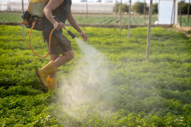 Trusted Westhampton Beach, NY Pest Control Experts