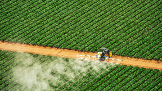 Best Pest Control for Businesses  in Westhampton Beach, NY