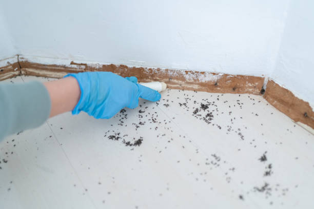 Wildlife Control Services in Westhampton Beach, NY